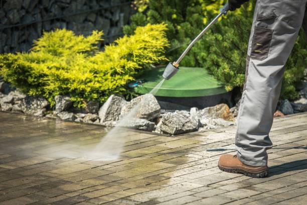 Best Driveway Pressure Washing  in Del Rio, CA
